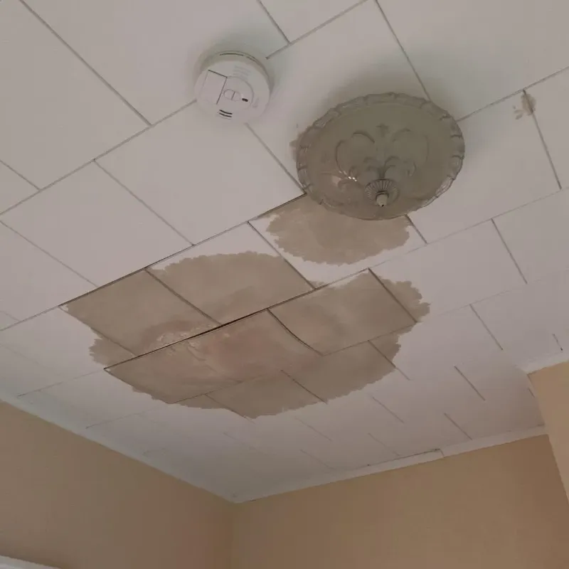 Ceiling Water Damage Repair in Inniswold, LA