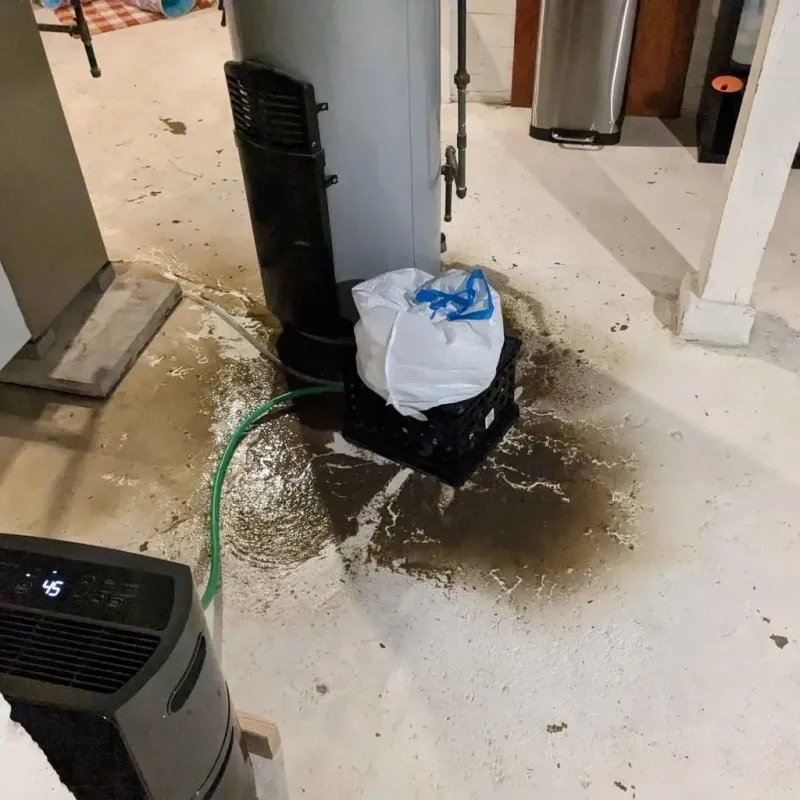 Sewage Backup Cleanup Service in Inniswold, LA